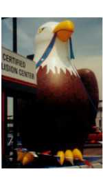 Eagle advertising rental balloon
